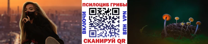 Купить где  Куса  Галлюциногенные грибы прущие грибы 